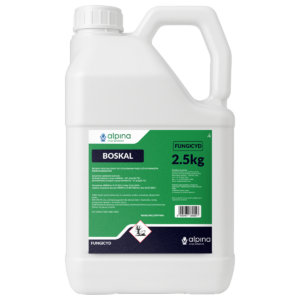 BOSKAL 500