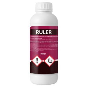 RULER